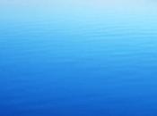 Subreachers: Reckless nous accuser favoritisme...