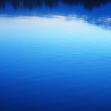 Subreachers: Reckless - MP3
On va nous accuser de favoritisme...