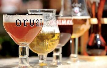 Le Petit Futé des Bières Belges en Français et en digital !