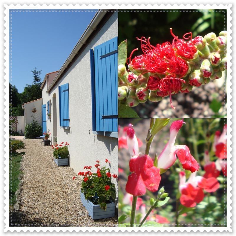 Au jardin chez nous, 16 mai 2011