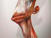 Jean-Baptiste Vendamme