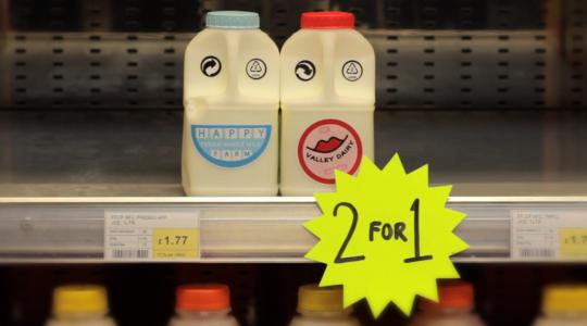 earth A Love Story… In Milk