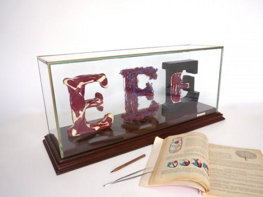 cf46a55d8f64642d03939ab6bcc9a8d8 540x405 Nouvelles séries dopérations pour Andreas Scheiger