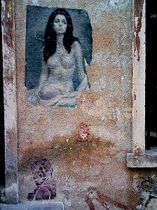 staff graff Collectif Singes 