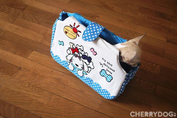 La marque pour chiens Parisdog débarque !