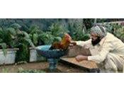 C'est dans quoi Photo