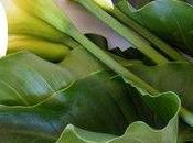 &nbsp; HAPPY bouquet pour Plaisir &nbsp;&nb..;.