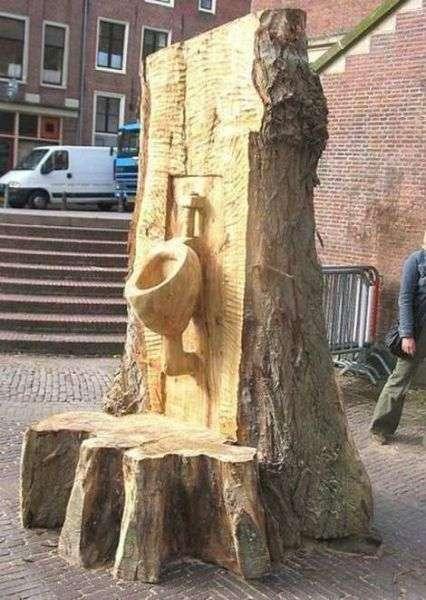 chiotte-insolite (5)