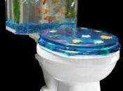 gogues, toilettes, chiottes, latrines, cabinets, etc…