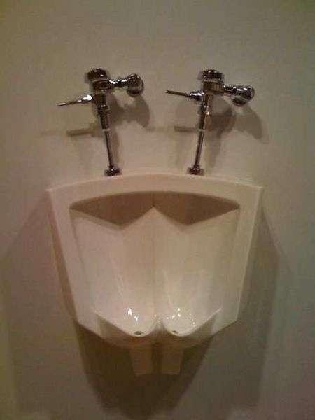 chiotte-insolite (6)