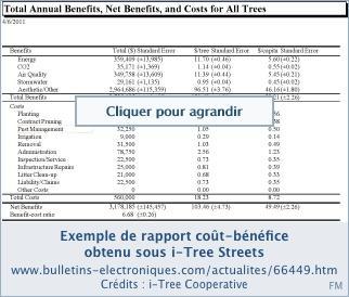 i-Tree, une boîte à outils pour mettre un prix sur les forêts urbaines i-Tree, une boîte à outils pour mettre un prix sur les forêts urbaines