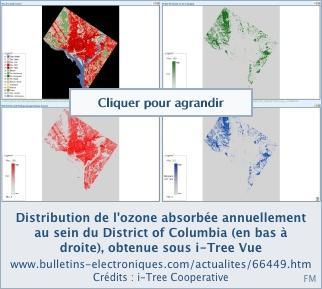 i-Tree, une boîte à outils pour mettre un prix sur les forêts urbaines i-Tree, une boîte à outils pour mettre un prix sur les forêts urbaines