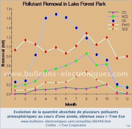 i-Tree, une boîte à outils pour mettre un prix sur les forêts urbaines i-Tree, une boîte à outils pour mettre un prix sur les forêts urbaines