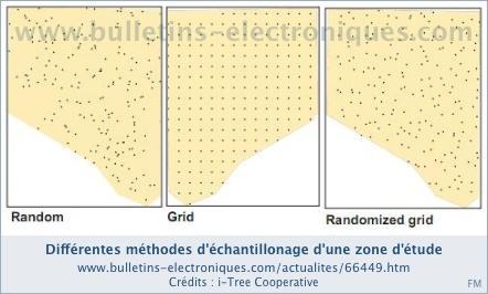 i-Tree, une boîte à outils pour mettre un prix sur les forêts urbaines i-Tree, une boîte à outils pour mettre un prix sur les forêts urbaines