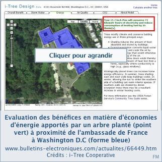 i-Tree, une boîte à outils pour mettre un prix sur les forêts urbaines i-Tree, une boîte à outils pour mettre un prix sur les forêts urbaines