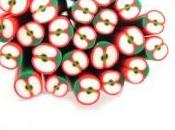 Tuto vidéo Cane pomme