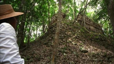 Mexique: des tombes et sites archéologiques Mayas découverts dans le Yucatan