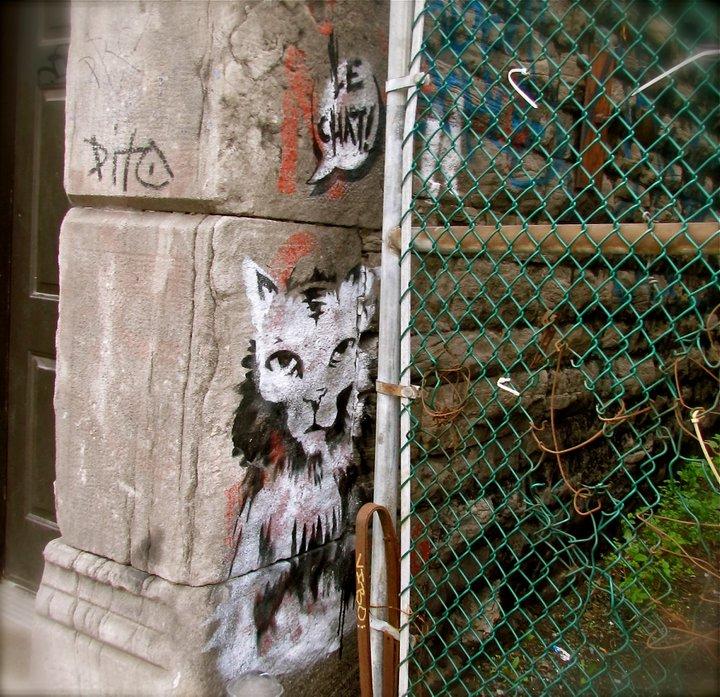 Des murs, à Montréal...par Magali Nirina MARSON (Madagascar).