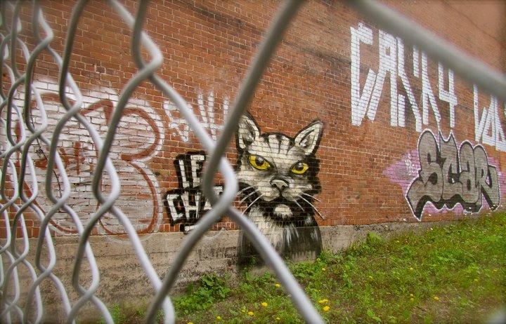 Des murs, à Montréal...par Magali Nirina MARSON (Madagascar).