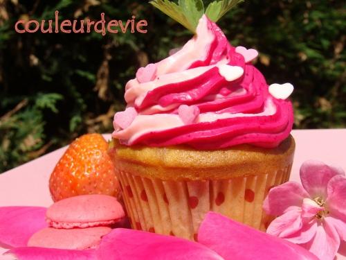 Concours Cupcakes Cuistoshop