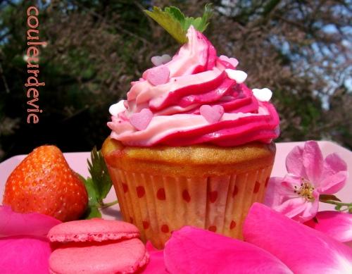 Concours Cupcakes Cuistoshop