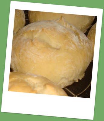 Petits pains italiens - Panecillos italianos