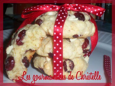 cookies_aux_flocons_d_avoine_chocolat_blanc_et_cranberries2