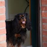 Bahia – Shooting #3