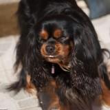 Bahia – Shooting #3