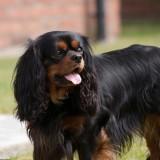 Bahia – Shooting #3