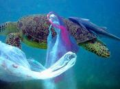 L’UE envisage d’interdire sacs plastiques, vous emballe