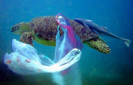 L’UE envisage d’interdire les sacs plastiques, ça vous emballe ?