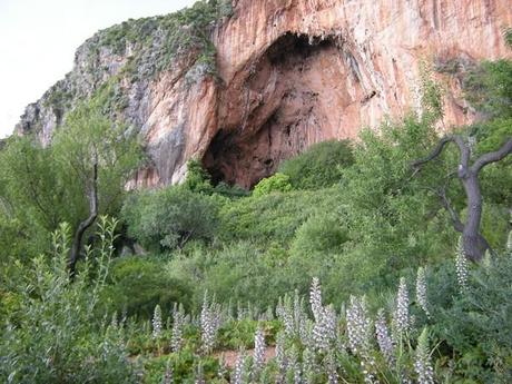 La grotte de l'Uzzo