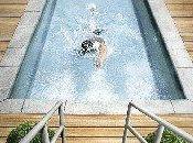 champion olympique Batibouw 2008