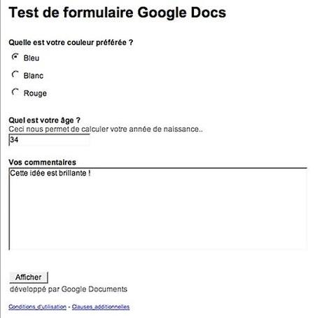 2008-02-12 formulaire Google Docs.png