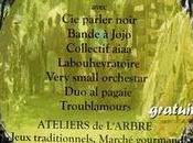 Participation festival l'Arbre Sabres près Marquèze dans Landes (40)