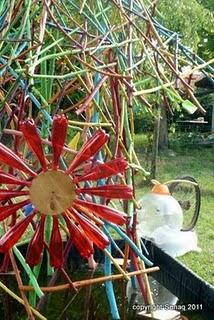 J'AI RETROUVE MIRO A SABRES! EN RESIDENCE AU MILIEU DES PINS!