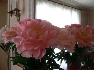 pivoines_001