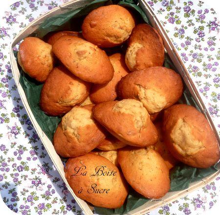 Madeleines