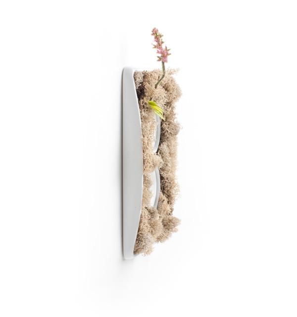 La nature au bout de l’interrupteur…