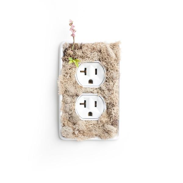 La nature au bout de l’interrupteur…