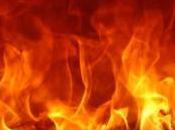 Exterminez Chinois pour laisser pousser l’herbe