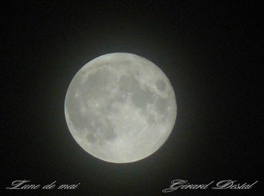 Lune-de-mai-copie.jpg