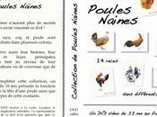 Volume Collection poules naines