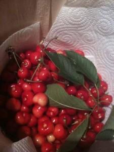 Charlottine de bigarreaux au kirsch