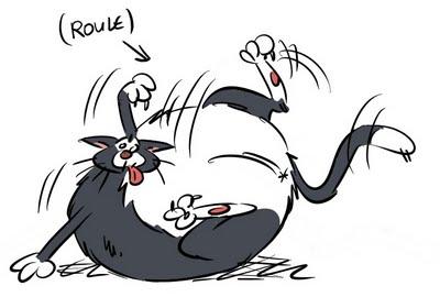 Chat gras d'amour...