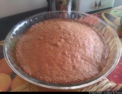 Gâteau moelleux ananas/coco