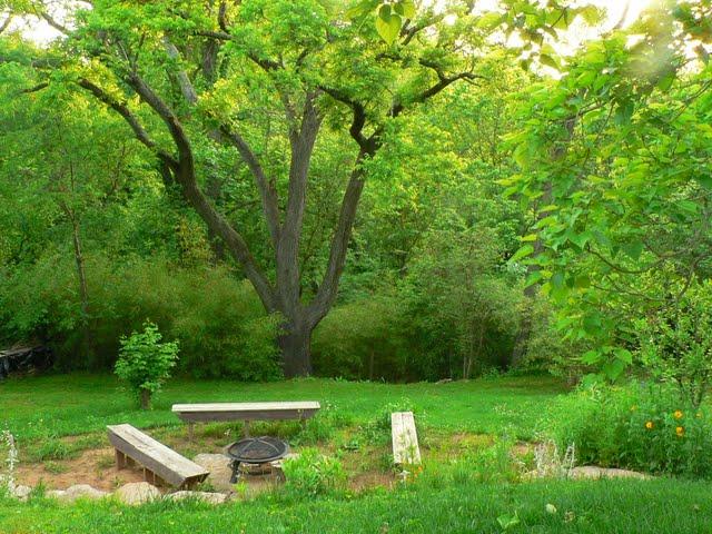 Jolies Fleurs de Mai
