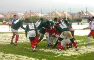 Pourquoi tuer les poules aux œufs d’or ?