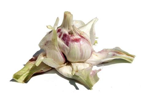 Garlic ثوم